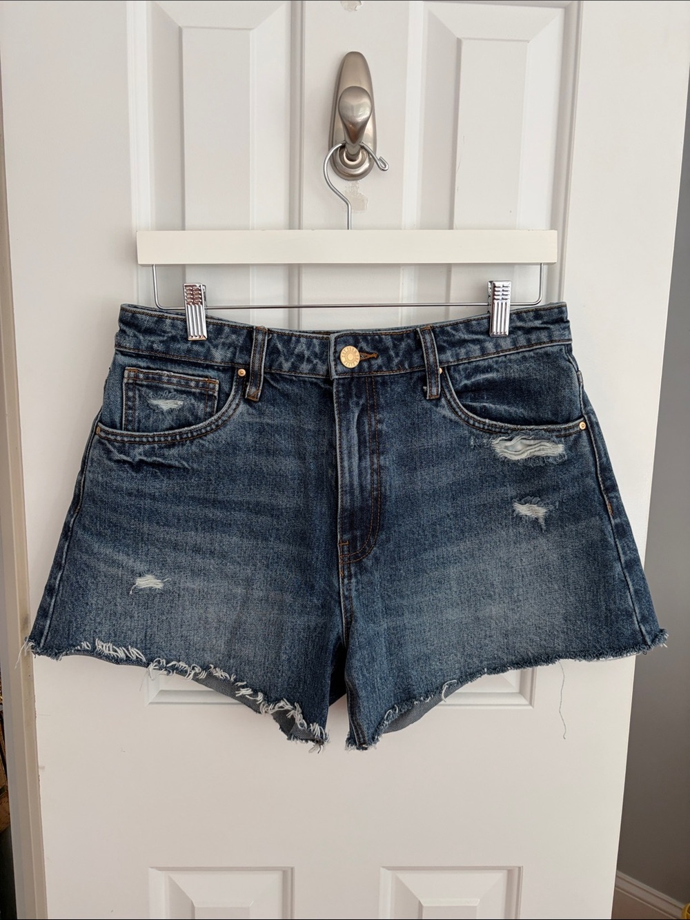 Kut from the Kloth Taylor Short